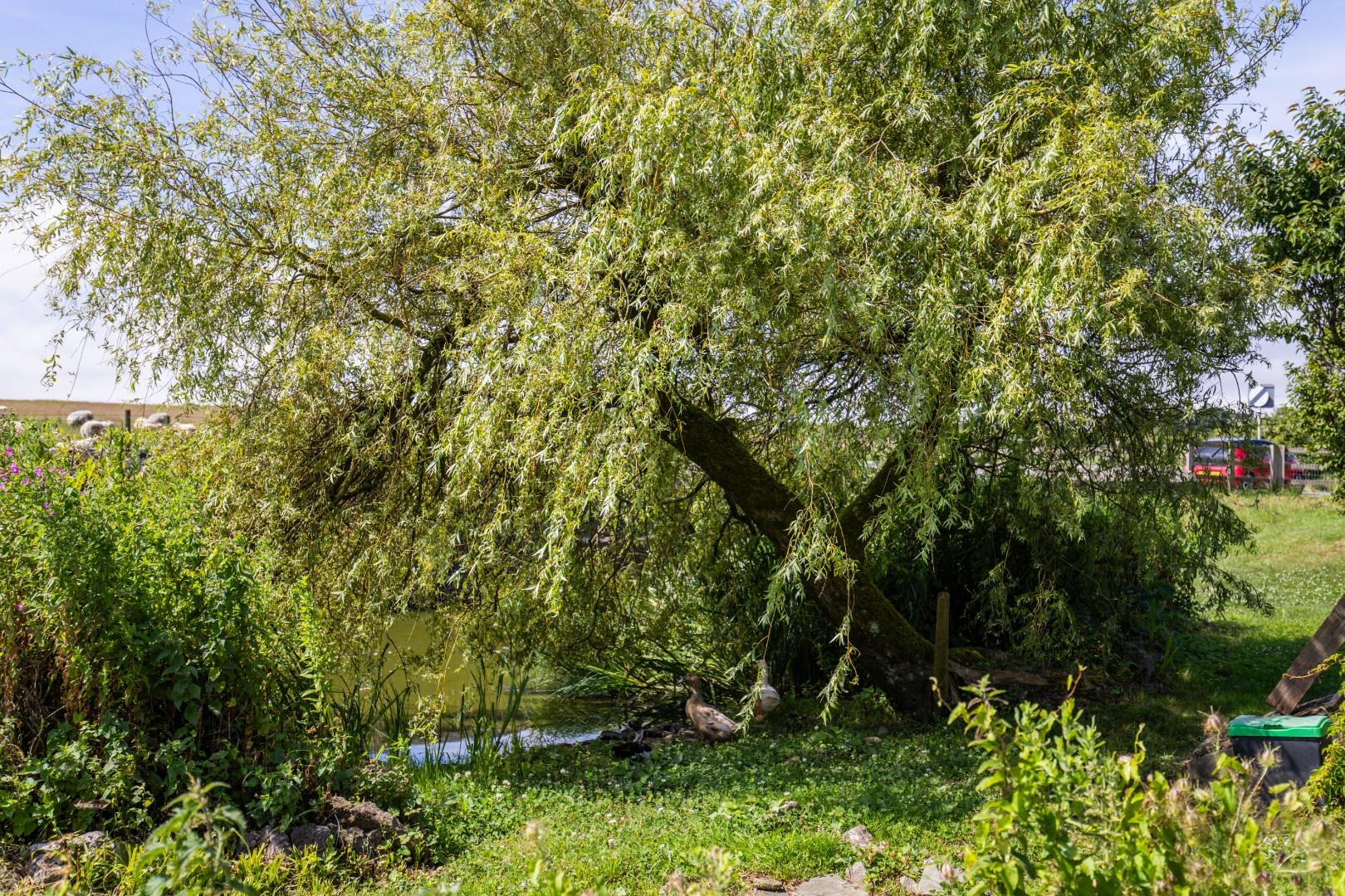 Ty Helyg, Penllyn, Cowbridge, Vale of Glamorgan, CF71 7RQ
